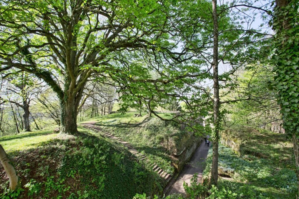 Maison Privilege Nature A La Petite Pierre Kültér fotó