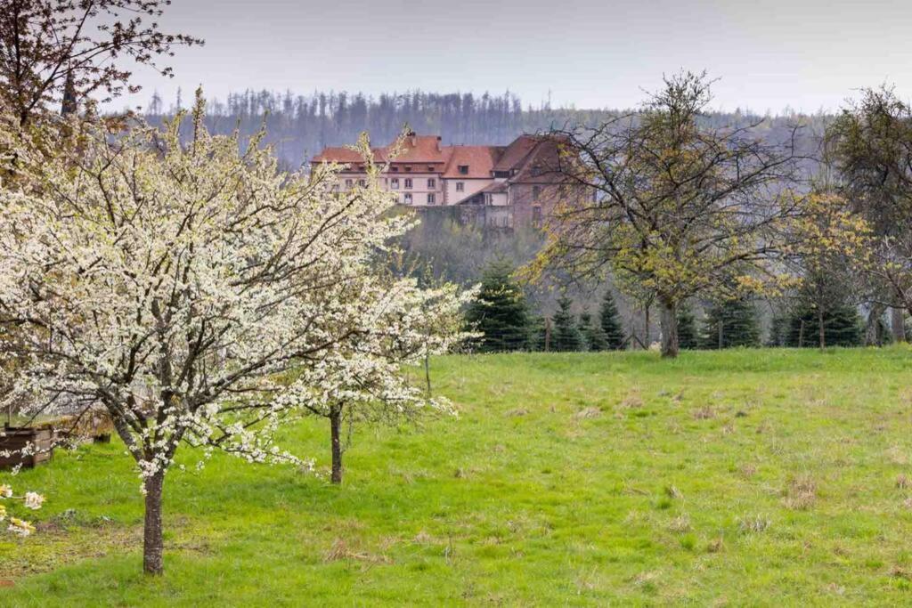Maison Privilege Nature A La Petite Pierre Kültér fotó